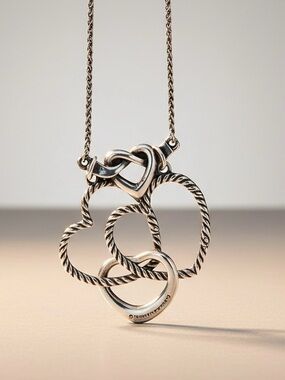 James Avery PLUS Tiffany & Co. heart knot necklace twisted changeable Peretti
